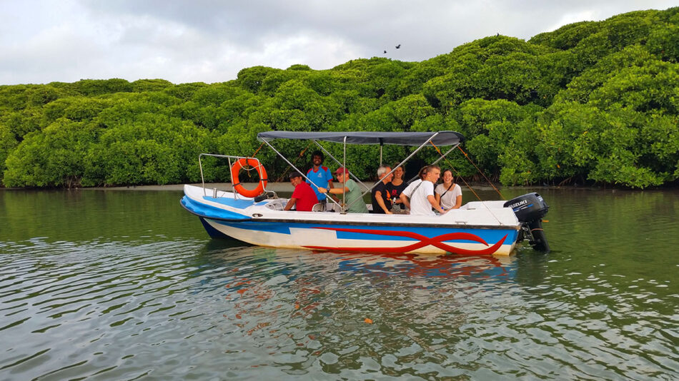 Lake Tour