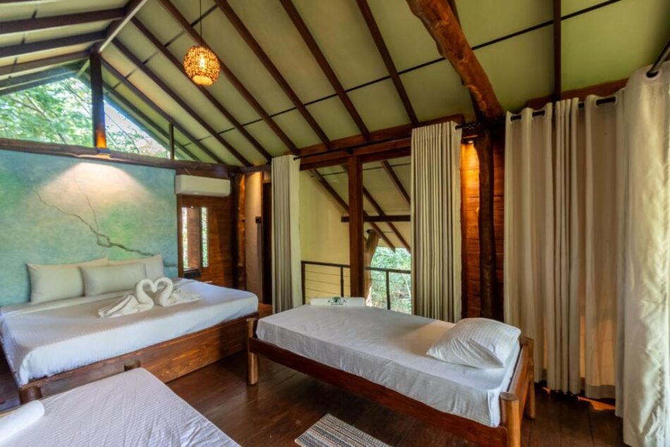 Interior view of tree house