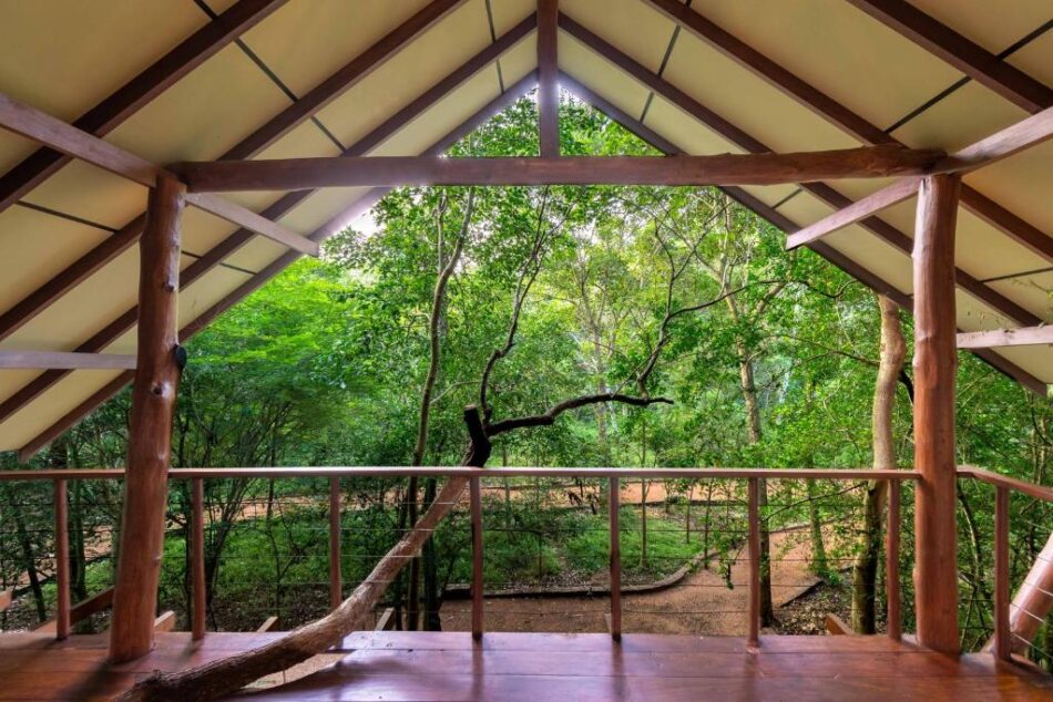 Front view of tree house